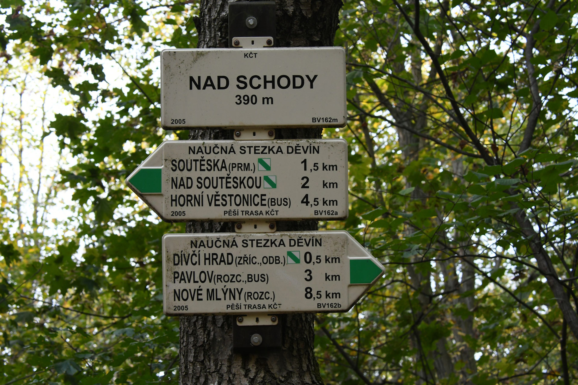 Mikulov (Photo license: CC BY 2.0)